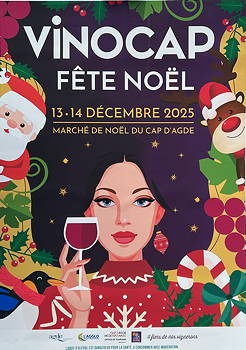 VINOCAP de NOEL